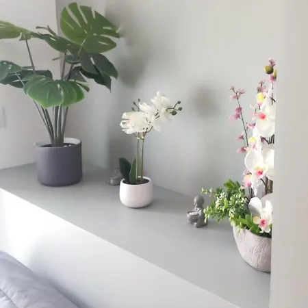 Les Du Relais 3* Saint-Martin-dʼAblois