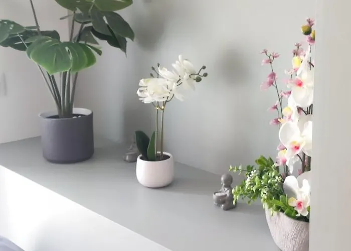 Les Du Relais 3* Saint-Martin-dʼAblois